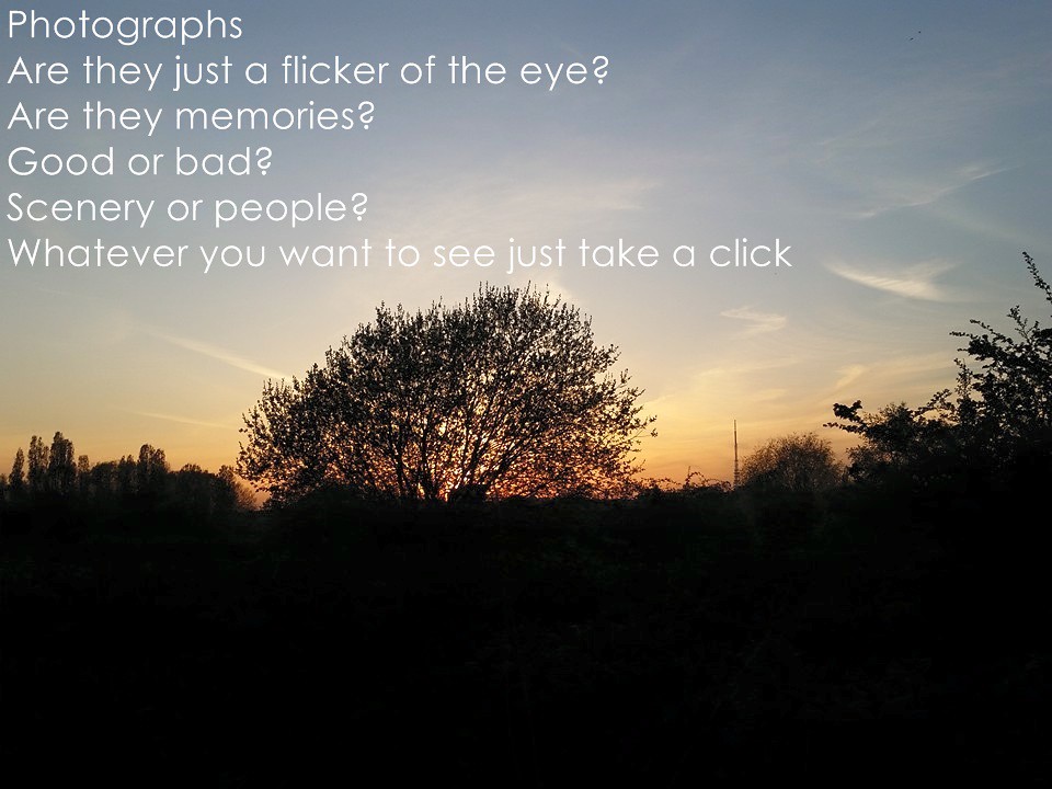 Discover Inspiration Laugh, Learn, and Connect with QuotePoem