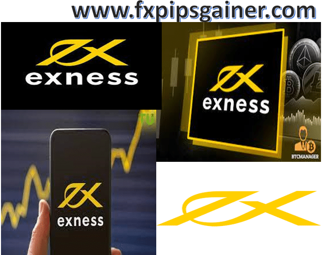 Understanding the Power of Exness Webtrader